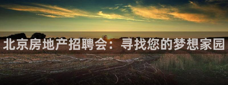 新宝5注册首页：北京房地产招聘会：寻找您的梦想家园