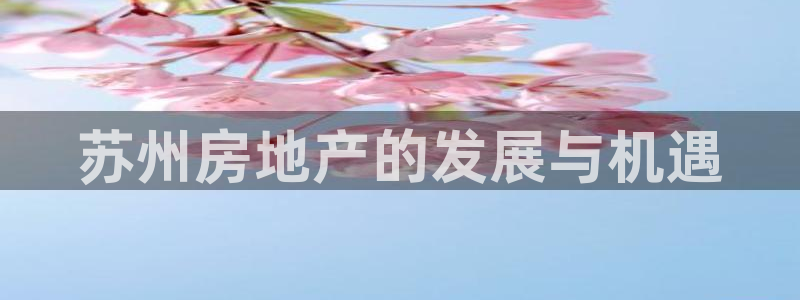 新宝5娱乐注册：苏州房地产的发展与机遇