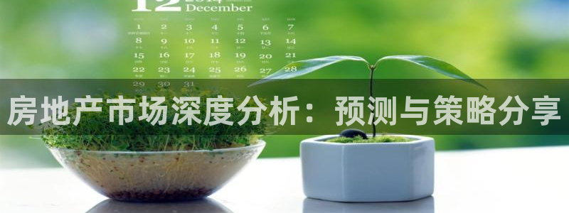 新宝堂新会陈皮5年：房地产市场深度分析：预测与策略分享