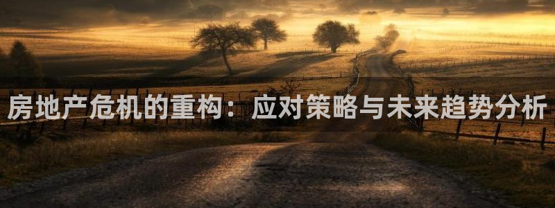 新宝G5：房地产危机的重构：应对策略与未来趋势分析