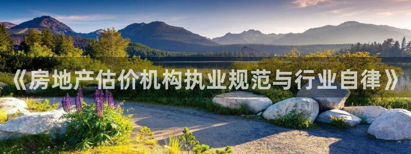 新宝5娱乐平台：《房地产估价机构执业规范与行业自律》