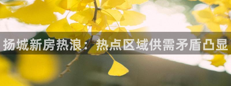 新5宝：扬城新房热浪：热点区域供需矛盾凸显