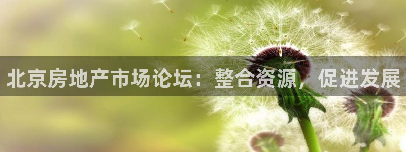 新宝5注册平台：北京房地产市场论坛：整合资源，促进发展