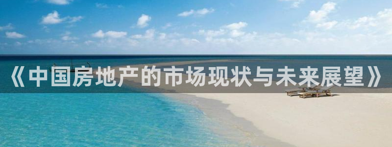 新宝5主管：《中国房地产的市场现状与未来展望》