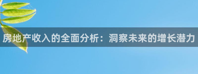 新宝那2O5O5O：房地产收入的全面分析：洞察未来的增长潜力