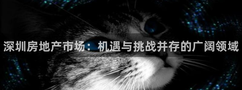 新宝5登录：深圳房地产市场：机遇与挑战并存的广阔领域