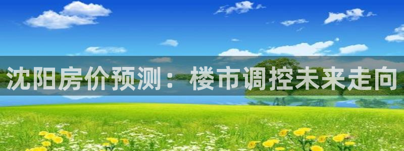 2022新宝骏rs 5：沈阳房价预测：楼市调控未来走向