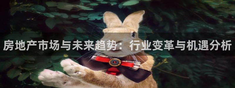 新宝5平台注册公司：房地产市场与未来趋势：行业变革与机遇分析