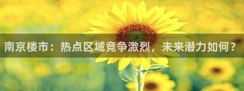 新宝5登录：南京楼市：热点区域竞争激烈，未来潜力如何？