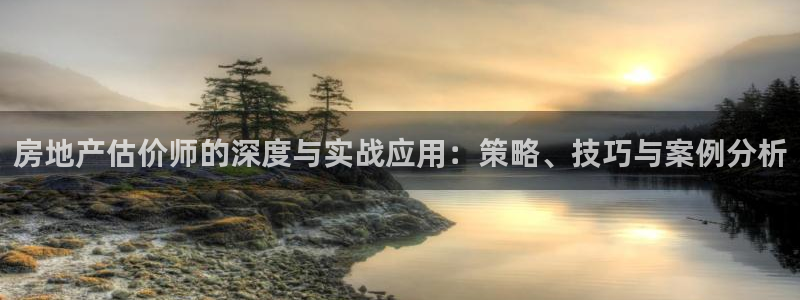 新宝5新宝6顺达：房地产估价师的深度与实战应用：策略、技巧与