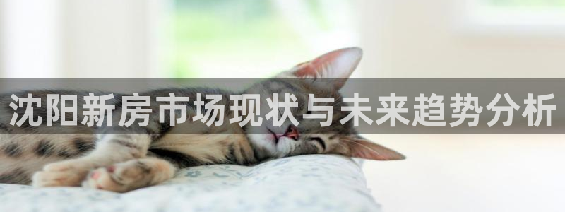 新宝5是谁的：沈阳新房市场现状与未来趋势分析