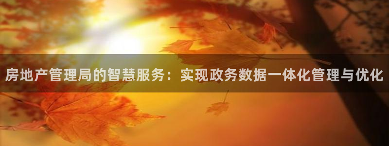 新宝5平台注册公司：房地产管理局的智慧服务：实现政务数据一体