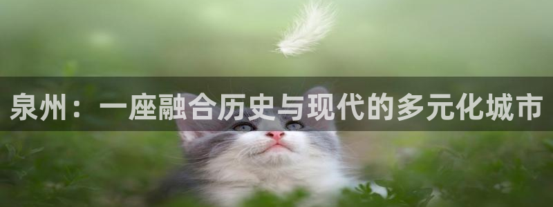 新宝5下载注册：泉州：一座融合历史与现代的多元化城市