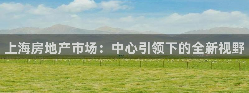 p5r新宝魔：上海房地产市场：中心引领下的全新视野