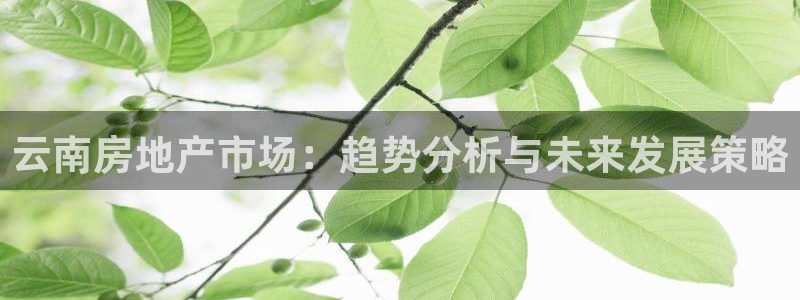 新宝5娱乐注：云南房地产市场：趋势分析与未来发展策略