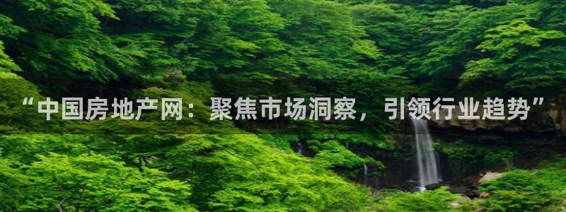 新宝5是谁：“中国房地产网：聚焦市场洞察，引领行业趋势”