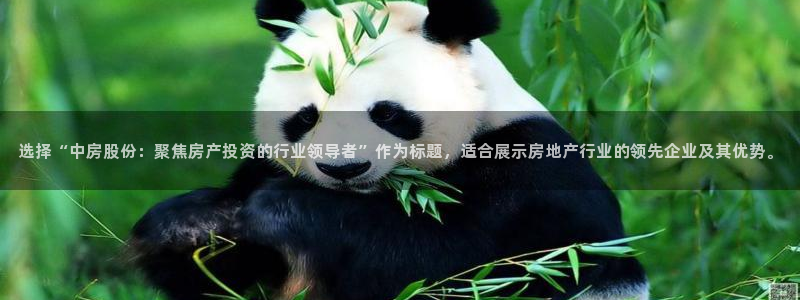 新宝5娱乐同：选择“中房股份：聚焦房产投资的行业领导者”作为