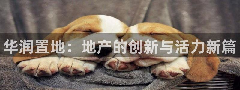 新宝5挂机软件：华润置地：地产的创新与活力新篇