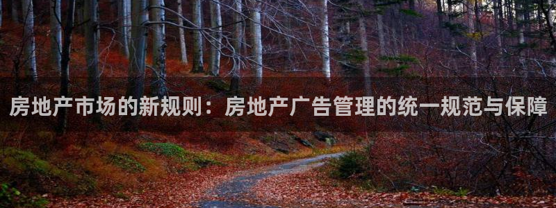 新宝5后：房地产市场的新规则：房地产广告管理的统一规范与保障