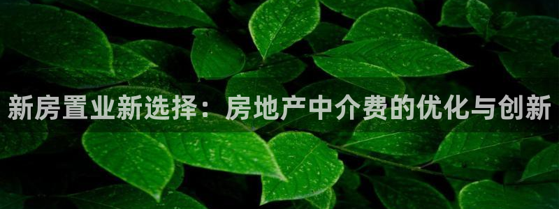 新宝5线路登录检测：新房置业新选择：房地产中介费的优化与创新