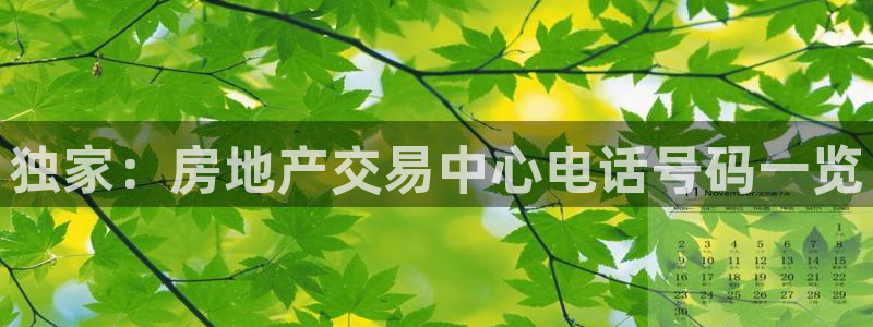 新宝5寂创33300散：独家：房地产交易中心电话号码一览