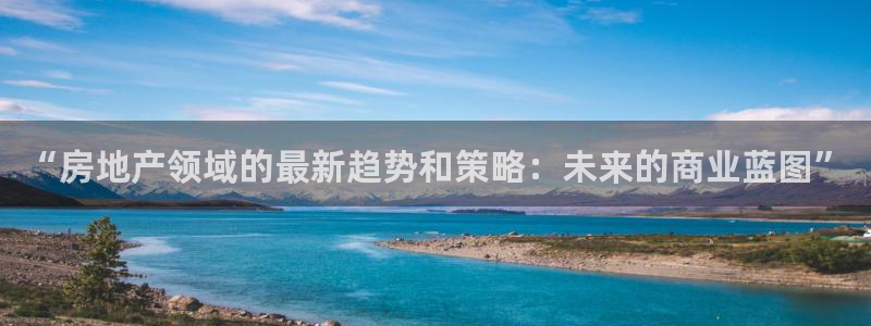 新宝5 - 测速登陆：“房地产领域的最新趋势和策略：未来的商