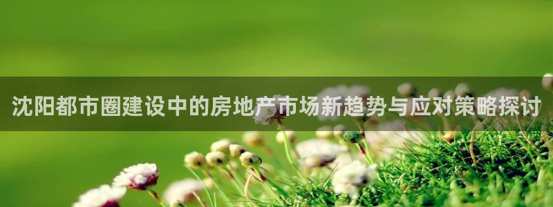 新宝5后：沈阳都市圈建设中的房地产市场新趋势与应对策略探讨