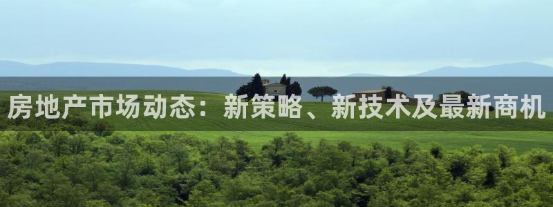 新宝5得74OOO5：房地产市场动态：新策略、新技术及最新商