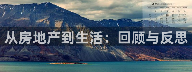 新宝h2O5O5O：从房地产到生活：回顾与反思