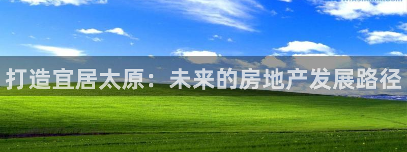 新宝5导师