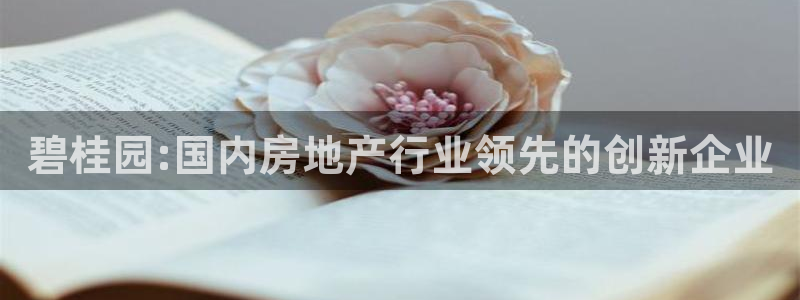 新宝5平台注册：碧桂园:国内房地产行业领先的创新企业