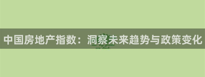 新宝新5：中国房地产指数：洞察未来趋势与政策变化