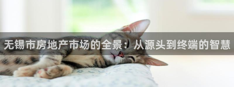 新宝5官网：无锡市房地产市场的全景：从源头到终端的智慧
