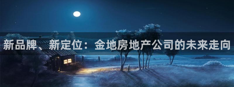 新宝5系列：新品牌、新定位：金地房地产公司的未来走向