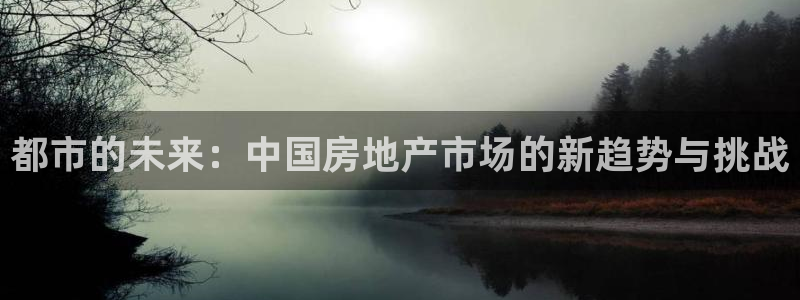 新宝5娱乐注：都市的未来：中国房地产市场的新趋势与挑战