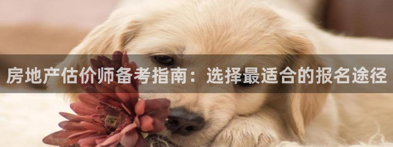 新宝rc_5w：房地产估价师备考指南：选择最适合的报名途径