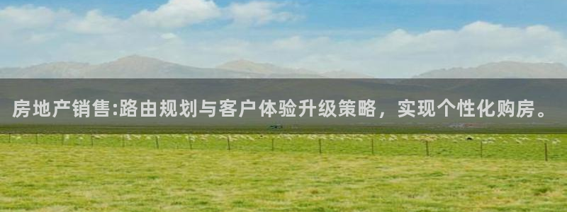 新宝5后：房地产销售:路由规划与客户体验升级策略，实现个性化