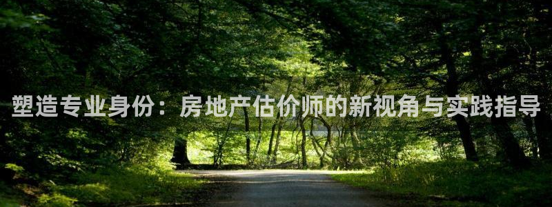 新宝5平台登录下载软件：塑造专业身份：房地产估价师的新视角与