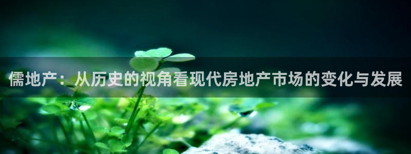 有人知道新宝5么：儒地产：从历史的视角看现代房地产市场的变化