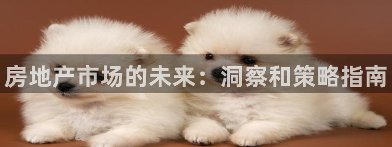 新宝5娱乐代理：房地产市场的未来：洞察和策略指南