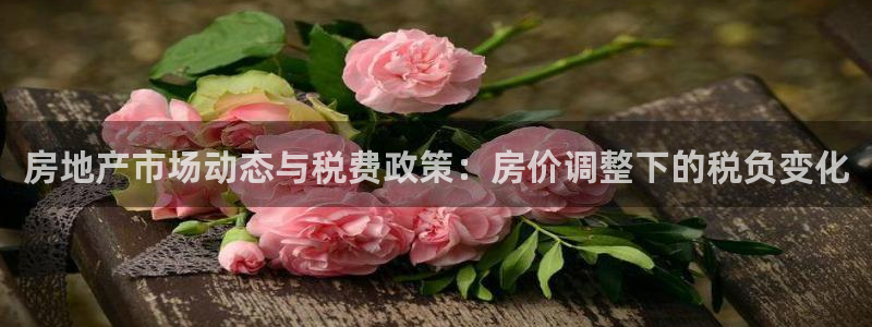 新宝娱乐5：房地产市场动态与税费政策：房价调整下的税负变化