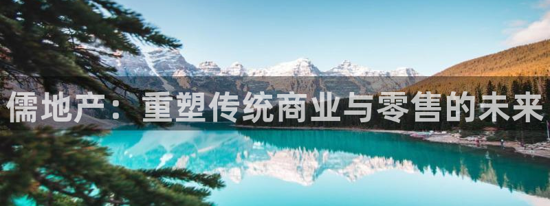 新宝测速5：儒地产：重塑传统商业与零售的未来
