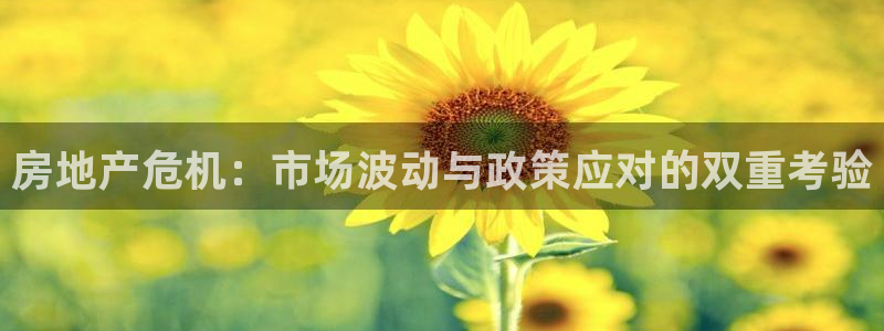 新宝5官方下载地址：房地产危机：市场波动与政策应对的双重考验