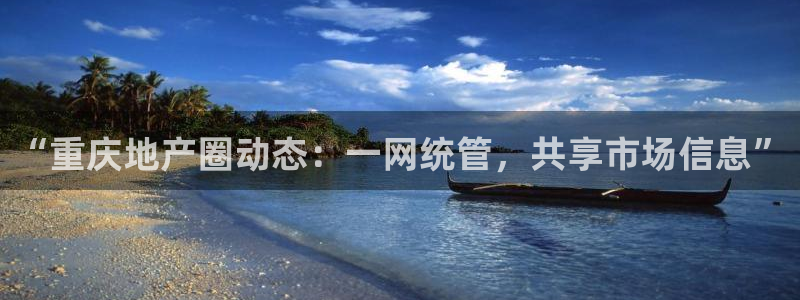 新宝5寻33 300球：“重庆地产圈动态：一网统管，共享市场