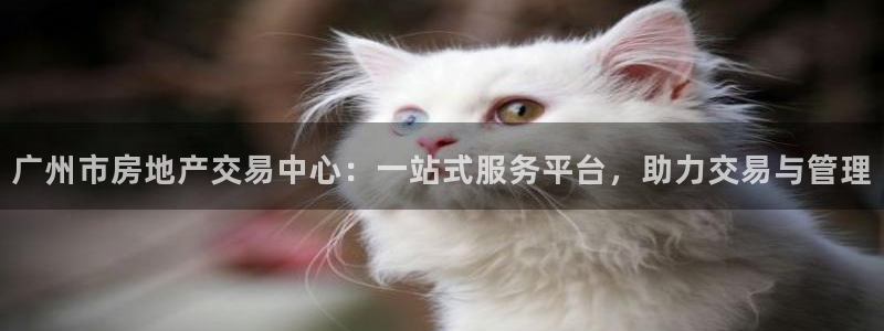 新宝5娱乐都：广州市房地产交易中心：一站式服务平台，助力交易