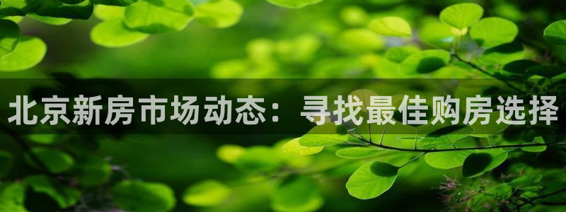 新宝5注册：北京新房市场动态：寻找最佳购房选择