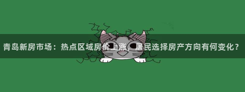 新宝股东瞧听2 5 5