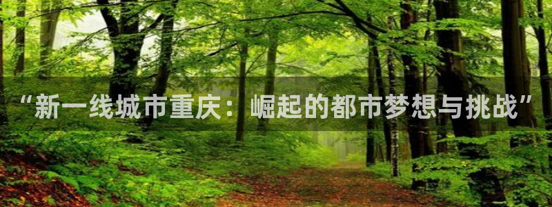 新宝5玩法：“新一线城市重庆：崛起的都市梦想与挑战”