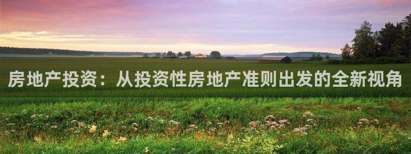 菲律宾新宝5老板：房地产投资：从投资性房地产准则出发的全新视