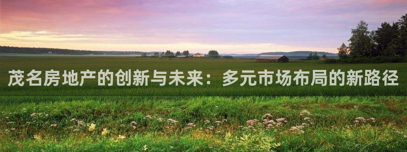 新宝5网址：茂名房地产的创新与未来：多元市场布局的新路径